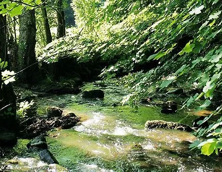 La Fischhutte, The Originals Relais 3*